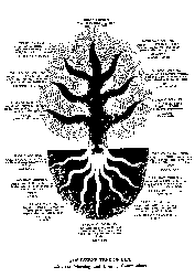 Tree Of Life